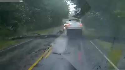 To be fair, a half second later would have sucked a lot worse.