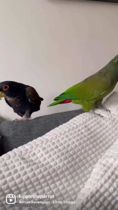 Getting along