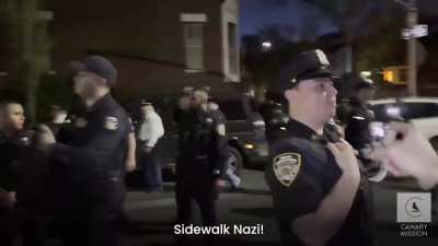 New footage: Nazi Palestine supporters harassing Jews in Brooklyn, NYC - April 2025
