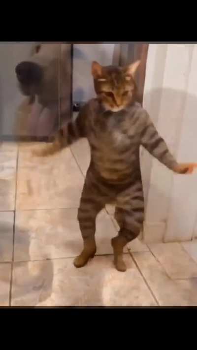 Que porra é essa²