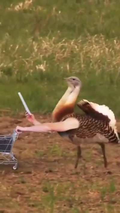 Thanks, I hate birds with hands