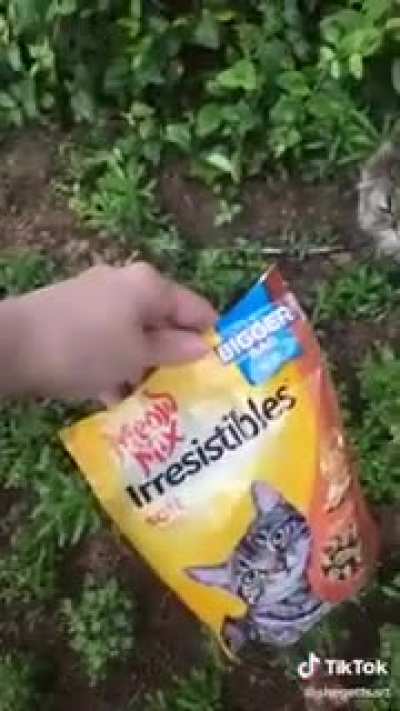 No it's meow mix