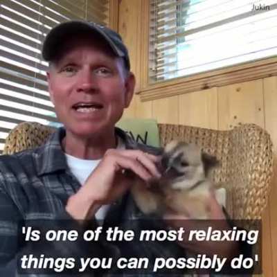 Cute dog
