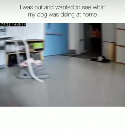 Whatcha doin’…