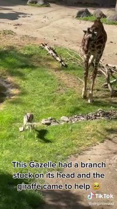 Bro, I got you
