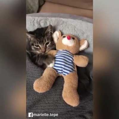 Criminal about to sleep