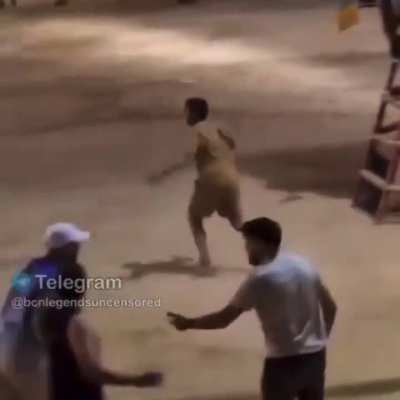 Bull stops brawl