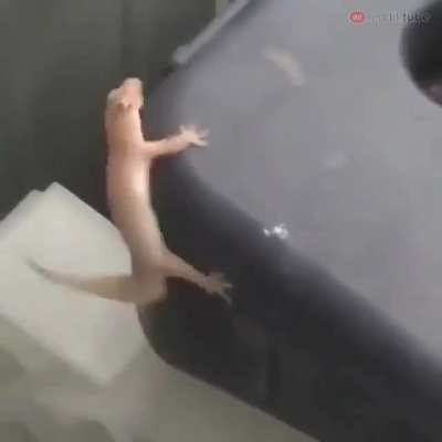 ‏‏‏‏‏‏‏‏