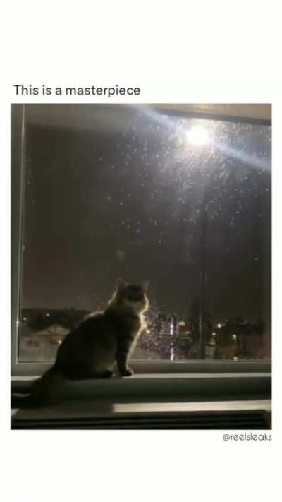 MEOW
