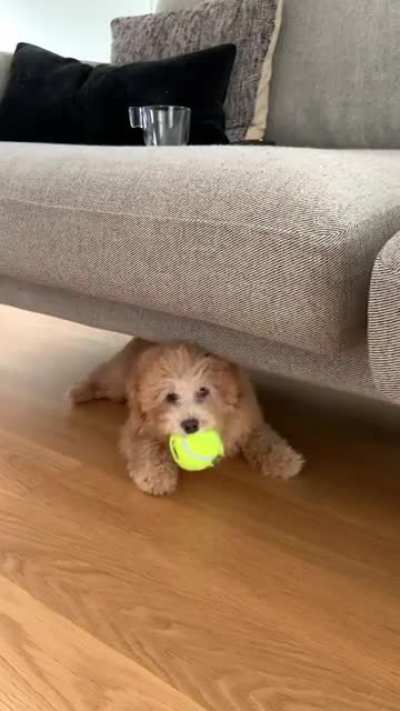 She loves sliding across the floor