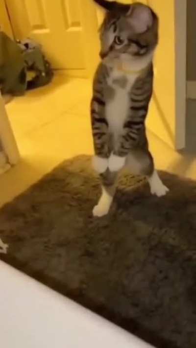 А что ты там делаешь?