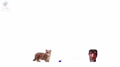 Shi