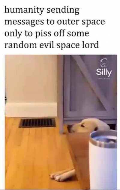 why mad?
