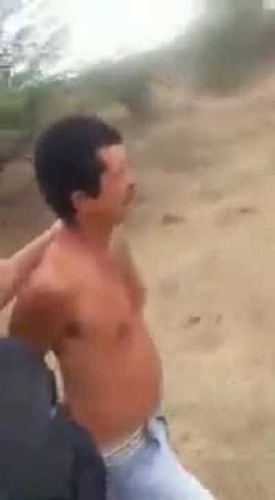 Bandido fofo