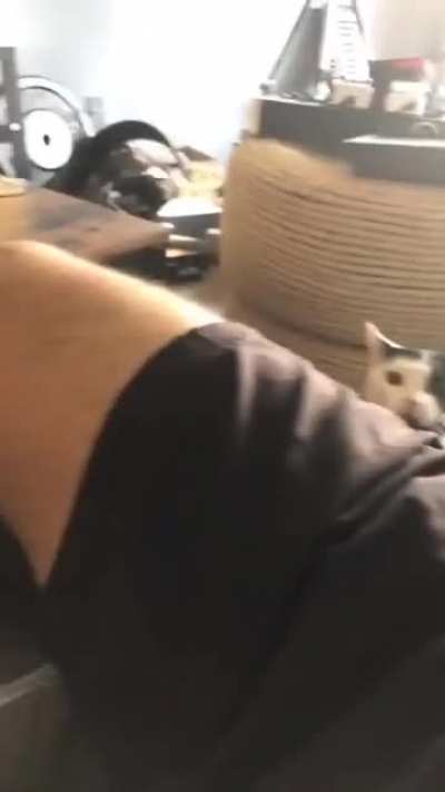 Credits in comments