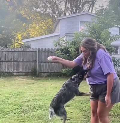 He clearly went for the bigger one