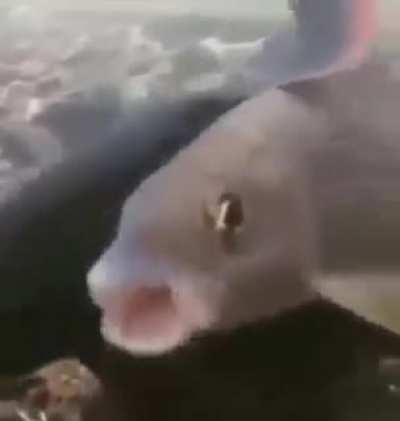 AAAAAAAAAAAAAAAAAAAAAA