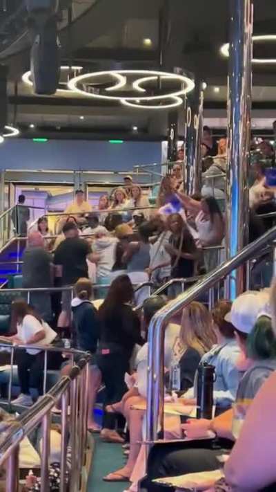 Bingo brawl