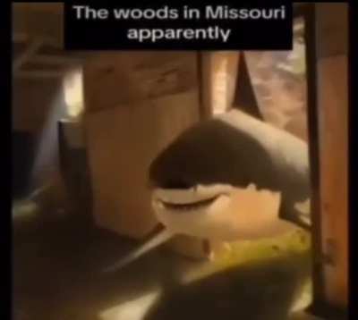 🦈??