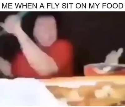 I HATE houseflies