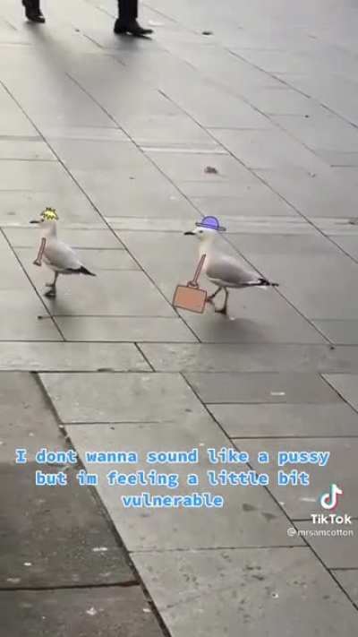 When is the sequel coming out?