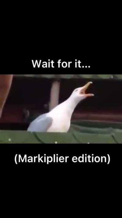 I HAD to make a Mark version 🤣