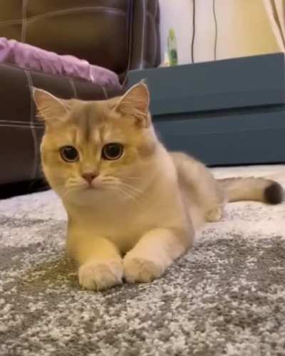 The smile