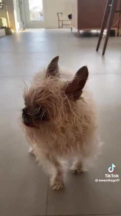 Scraggly