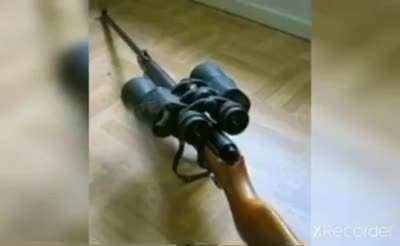 Gun rule