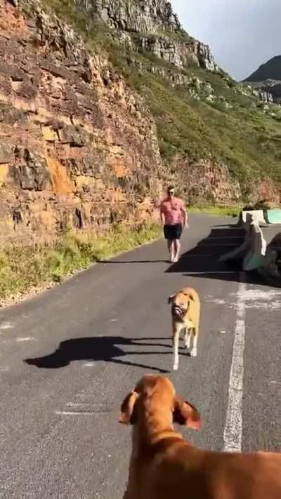 They go so fast. What chance is there to catch one?