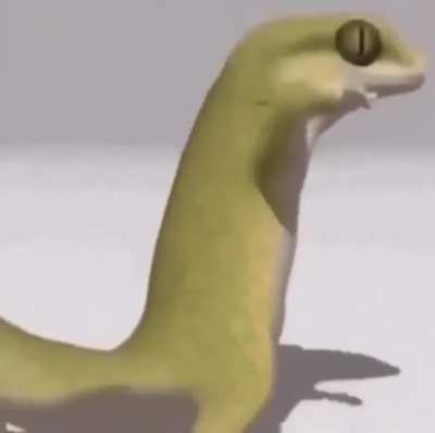 let’s give it up for one of the best parts of the LP10 waiting period, dancing lizard