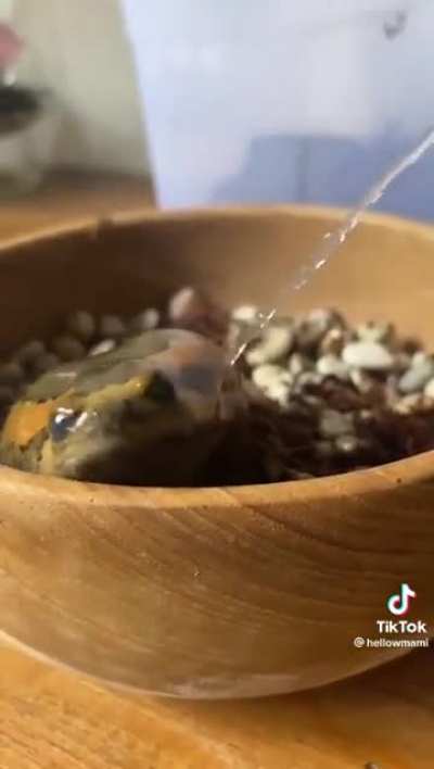 Gotta clean the boi