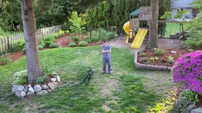 Apartment dog gets a yard. Day 1