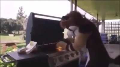 Os caras que não gostam de furry vão adorar esse vídeo