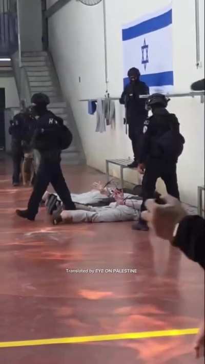 Israel’s repression units storm one of the sections in Ofer Prison, mistreating the prisoners on camera