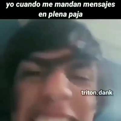 Paja 😎😎