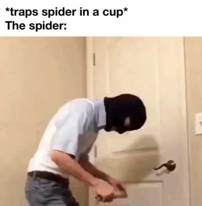 Little bastards are wild