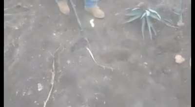 Not sure if buddy died or not, but this dudes a complete moron