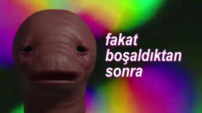 Ne eksik ne fazla