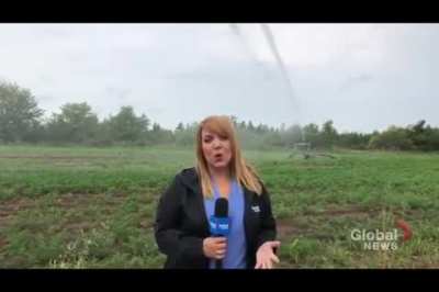 The sprinklers!