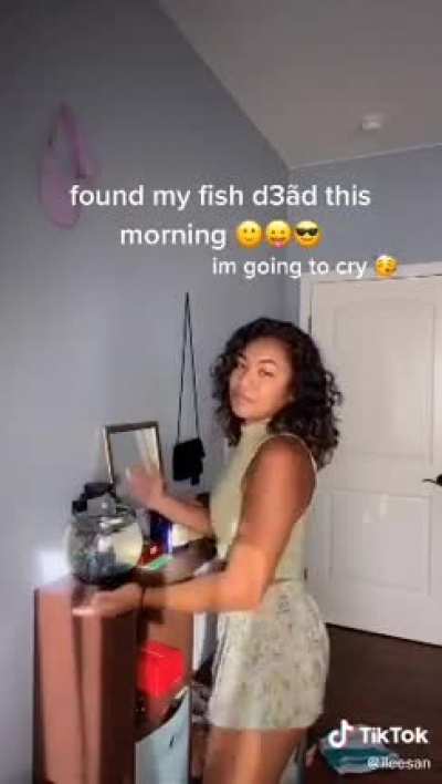 Very cool and funny