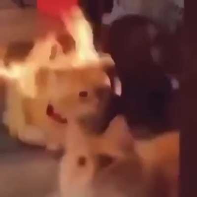 Can we get a 