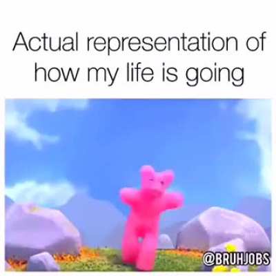how my life is going.