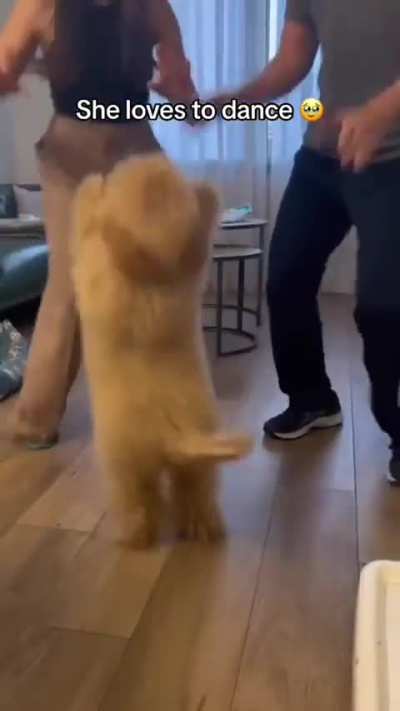 They feel music like humans do