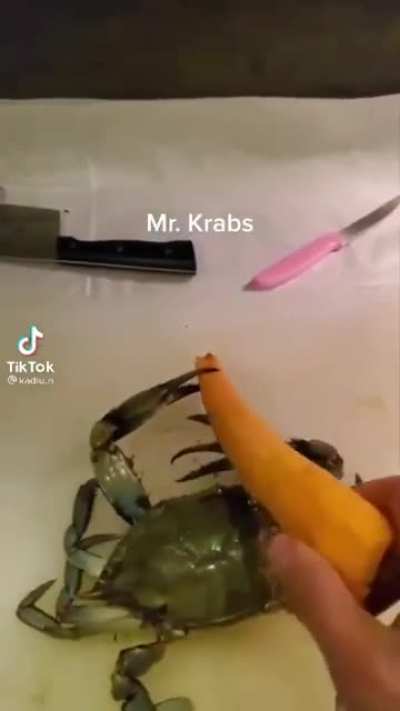 Mr crack