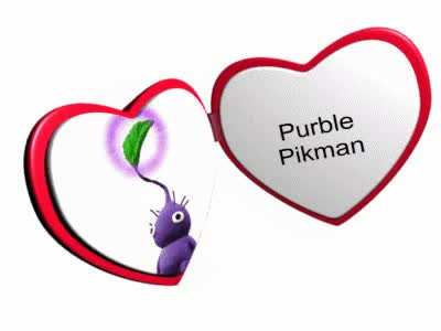 I like the purple one