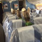 Rich chicks travelling in style!