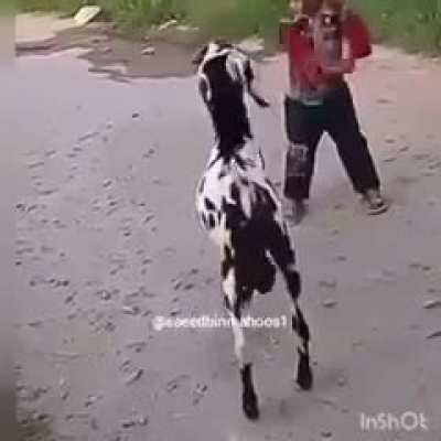 He deserved it