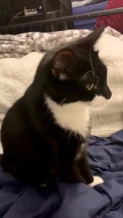 “Oww”