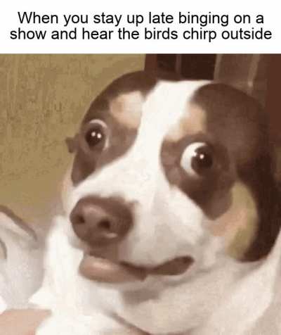 What year is it